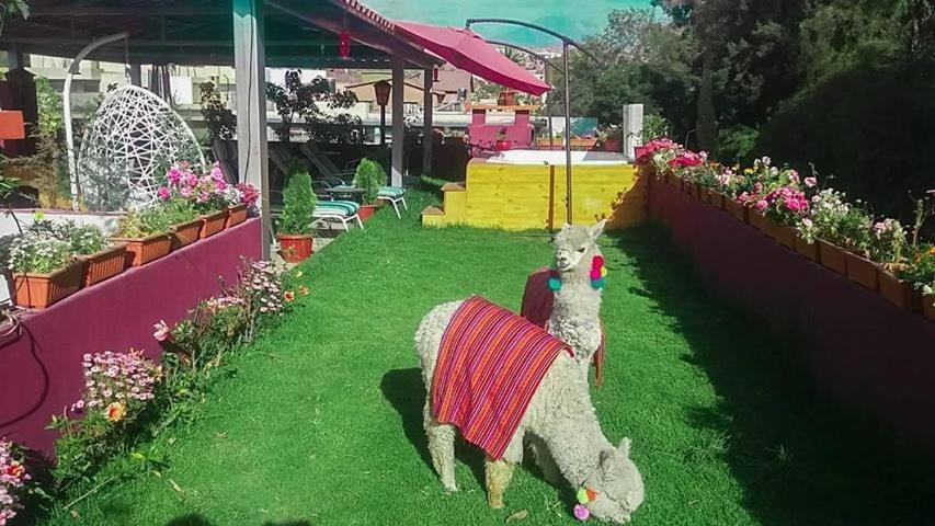 Gatsby Hotel Collection Arequipa Dış mekan fotoğraf